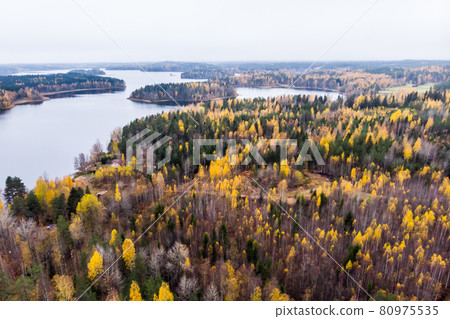 Aerial view of lake and colorful forests on a autumn day in Finland. Drone photography Aerial view of lake and colorful forests on a autumn day in Finland. Drone photography 80975535