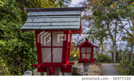 福岡縣福岡市愛宕神社的景色 80975580