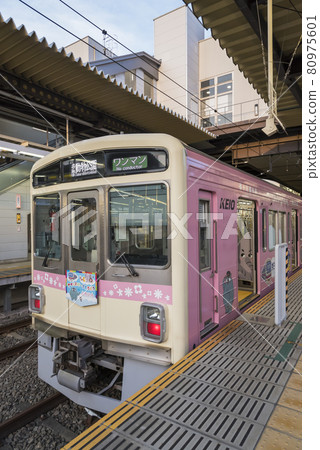 Keio Line Keio Electric Railway Zoo Line In-car seat Keio Teito Electric Railway Tama Animal Park Wrapping 80975601