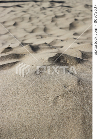 Sand dunes. Close up of sand texture background. 80975637