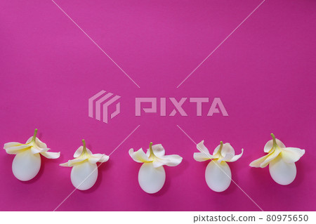 Chicken eggs in a cap from flower. Chicken eggs in a cap from flower. 80975650