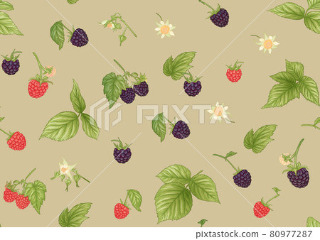 Blackberry. Ripe berries on branch. Seamless pattern, background. 80977287