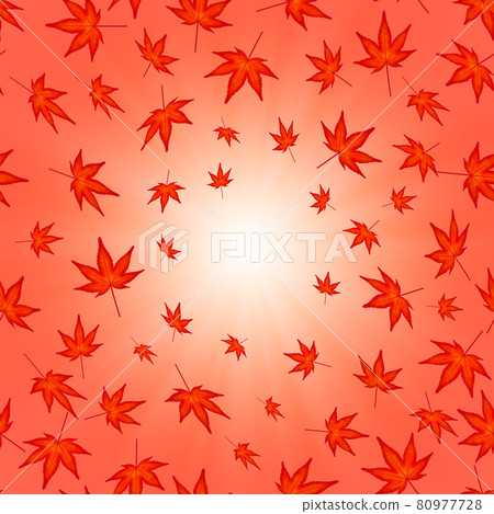Autumn background image material Falling autumn leaves (3_2) 80977728