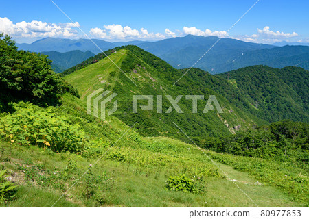 晴朗的天空和天神平 / 高倉山 80977853