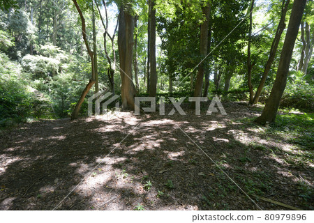Iwashimizu Hachimangu Shrine Shokado Toe, Yawata City, Kyoto Prefecture 80979896