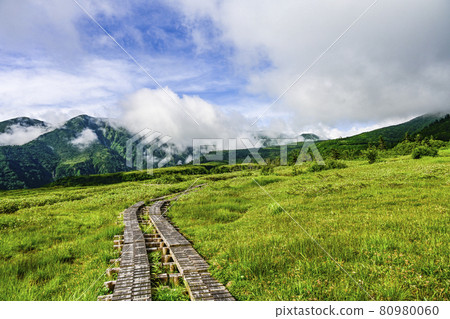 Summer Midagahara (Tateyama) Summer Midagahara (Tateyama) 80980060