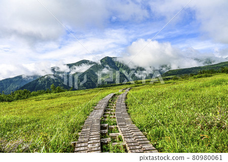 Summer Midagahara (Tateyama) 80980061