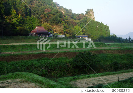 Rural scenery of Yabakei at dawn 80980273