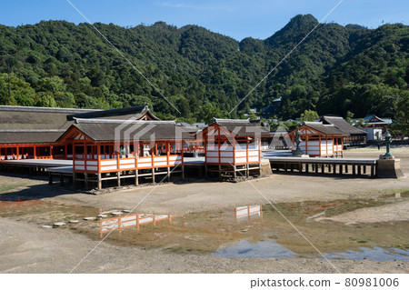 A view of Itsukushima Shrine in the Seto Inland Sea and the direction of Mt. Misen <Hiroshima Miyajima / August> 80981006