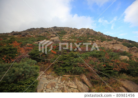Autumn Hayachine trekking Autumn Hayachine trekking 80981456