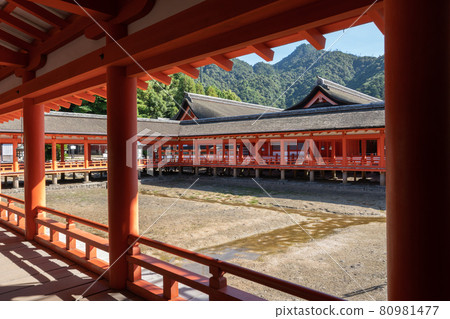 Itsukushima Shrine East Corridor <Miyajima, Hiroshima / August> 80981477