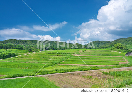 【100選梯田、田田觀景點】石川縣羽井縣志賀町笹波那 【100選梯田、田田觀景點】石川縣羽井縣志賀町笹波那 80981642