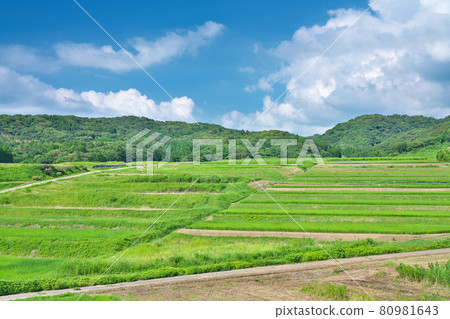 【100選梯田、田田觀景點】石川縣羽井縣志賀町笹波那 80981643