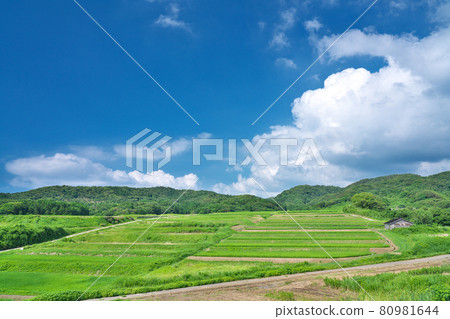 【100選梯田、田田觀景點】石川縣羽井縣志賀町笹波那 80981644