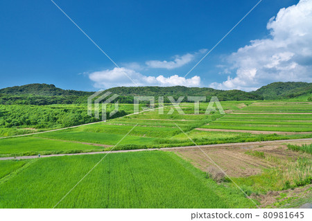 [100 selections of rice terraces, Tanada View Spot] Sasanami Na, Shika Town, Hakui District, Ishikawa Prefecture 80981645