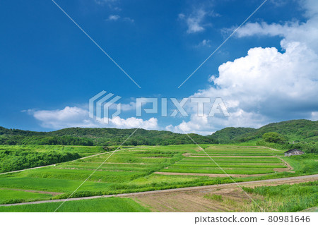 [100 selections of rice terraces, Tanada View Spot] Sasanami Na, Shika Town, Hakui District, Ishikawa Prefecture 80981646
