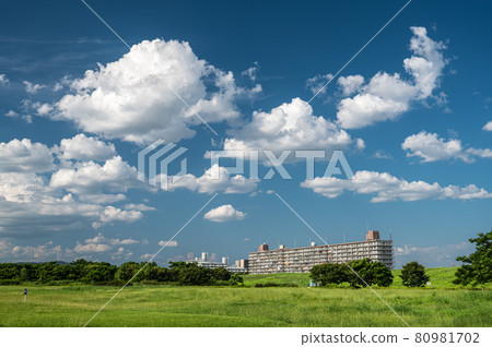 淀川河床田、公寓和棉花雲 淀川河床田、公寓和棉花雲 80981702
