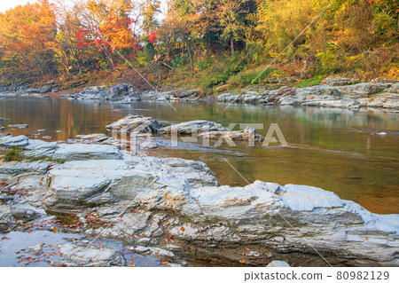 Arakawa Nagatoro Autumn Horaijima Park Near the ruins of gold stone passing Autumn leaves in the morning sun Arakawa Nagatoro Autumn Horaijima Park Near the ruins of gold stone passing Autumn leaves in the morning sun 80982129