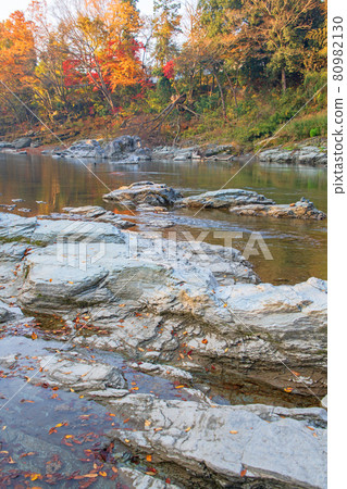 Arakawa Nagatoro Autumn Horaijima Park Near the ruins of gold stone passing Autumn leaves in the morning sun 80982130