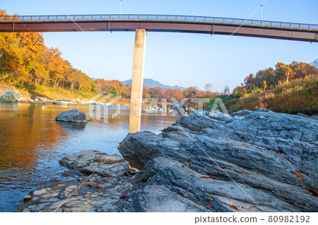 Arakawa Nagatoro Autumn Near Horaijima Park Kaneishisuikan Bridge Autumn leaves bathing in the morning sun Arakawa Nagatoro Autumn Near Horaijima Park Kaneishisuikan Bridge Autumn leaves bathing in the morning sun 80982192