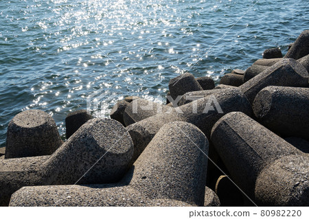 Tetrapod  80982220