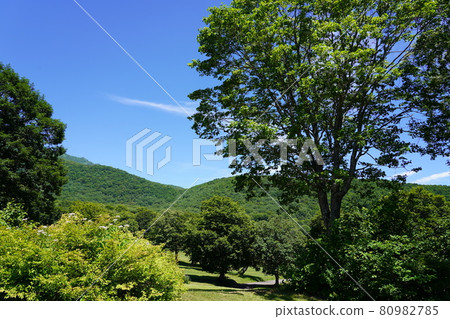 Sasagamine Cross Country Area 80982785