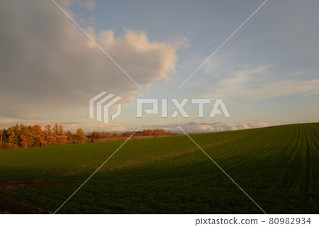 Biei-cho, Hokkaido and Tokachi mountain range in late autumn 80982934