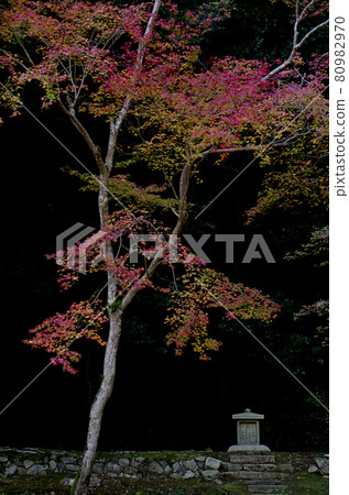 柿子和秋天的落葉 80982970