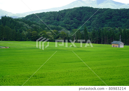 Myoko countryside 80983214
