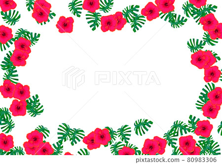 芙蓉框透明 芙蓉框透明 80983306