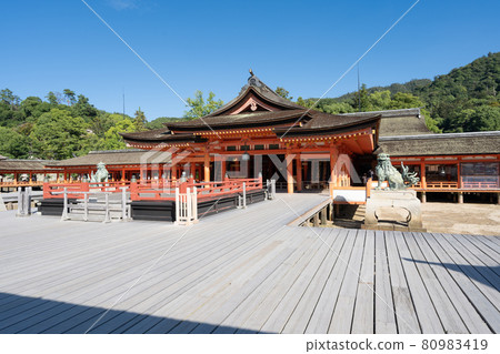 嚴島神社本部及周邊風景<廣島縣宮島市/8月> 嚴島神社本部及周邊風景<廣島縣宮島市/8月> 80983419