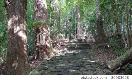 夏季和歌山熊野古道大門坂 80983698