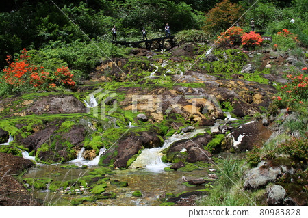 Chabo Mokeke Park Chabo Mokeke Park 80983828