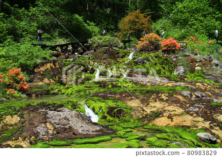 Chabo Mokeke Park Chabo Mokeke Park 80983829