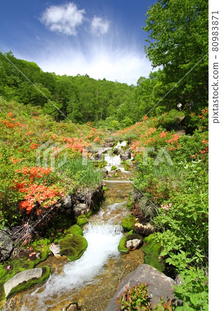 Chabo Mokeke Park Chabo Mokeke Park 80983871