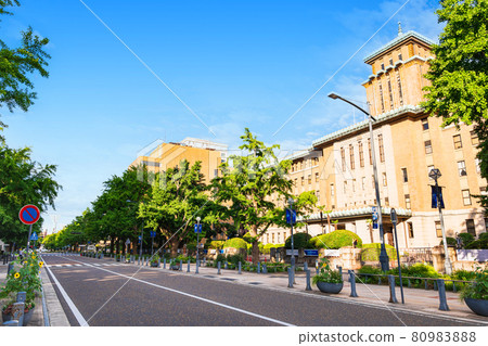 Kanagawa Prefectural Office and Japan Boulevard Kanagawa Prefectural Office and Japan Boulevard 80983888