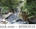 Hokkaido, Noboribetsu Onsen, Oyunuma River, Natural Footbath 80983918