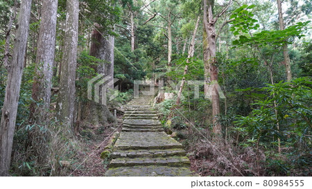 夏季和歌山熊野古道大門坂 80984555