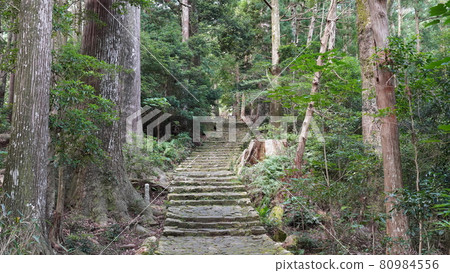 夏季和歌山熊野古道大門坂 80984556