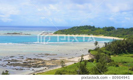 奄美大島 80984941