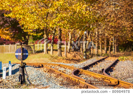 Usui Pass in Autumn, Apt Road in Autumn Leaves 80984978