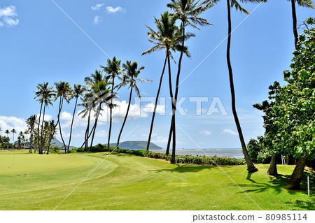 Holidays in Hawaii 80985114