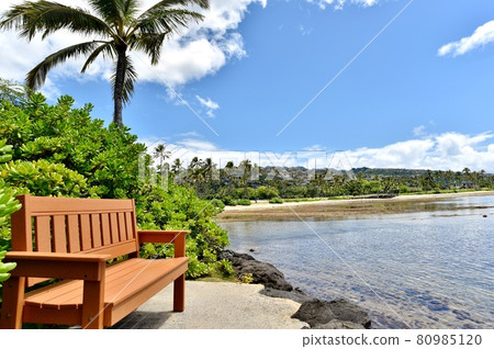 Holidays in Hawaii 80985120