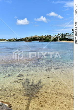 Holidays in Hawaii 80985123