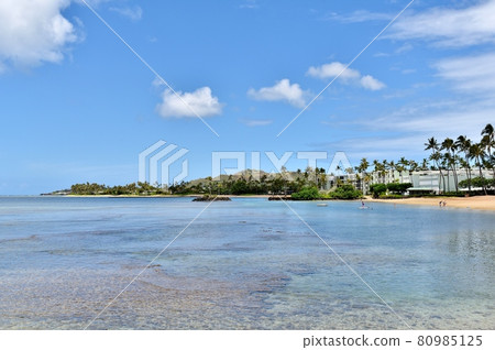 Holidays in Hawaii 80985125