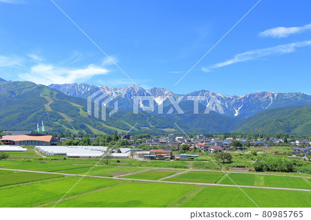 Summer in Hakuba Village: Shirouma Sanzan seen from the foot of the mountain Summer in Hakuba Village: Shirouma Sanzan seen from the foot of the mountain 80985765