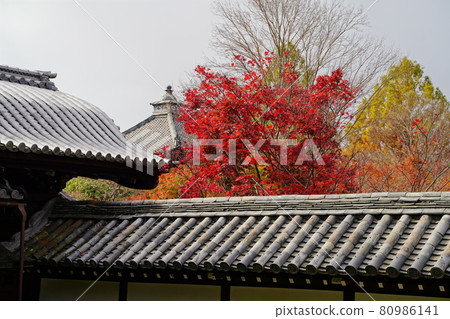 楓葉名勝,京都的寺廟 楓葉名勝,京都的寺廟 80986141