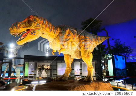 Tyrannosaurus in the Dinosaur Museum 80986667