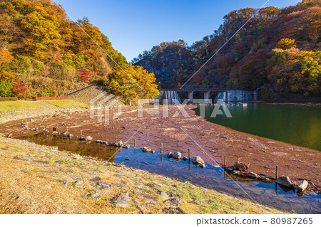 Usui Pass in Autumn, Usui Lake in Autumn Leaves, Scars of Typhoon 80987265