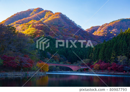 秋天的臼井，紅葉的臼井湖 80987793